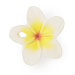 HAWAII THE FLOWER, прорезыватель для зубов