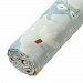 Пелёнка муслиновая BUBA KIDS, Северо-Запад, 115х115