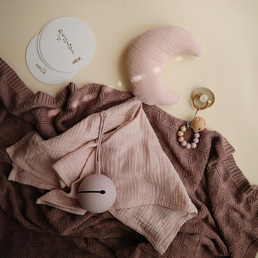 Контейнер для пустышек Mushie - Soft Lilac