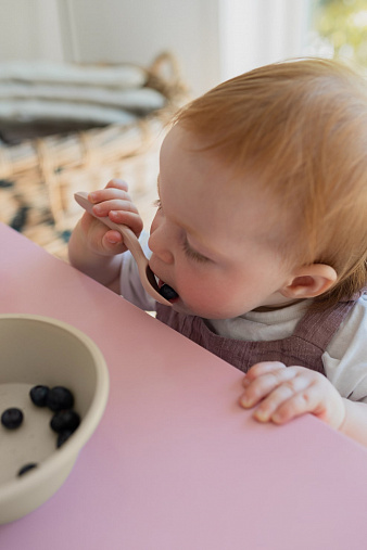 Набор ложек BIBS Spoon Set, 2 шт. - Blush