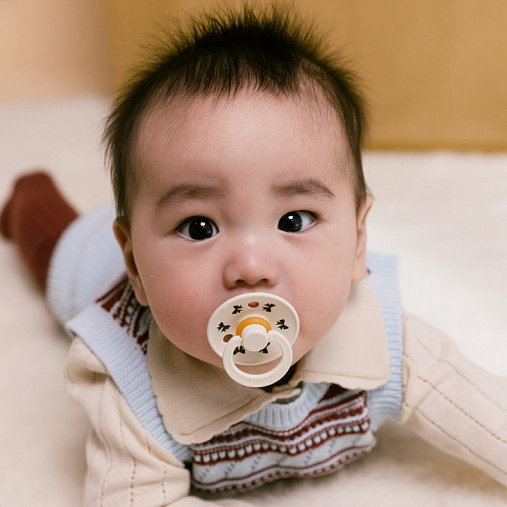 Пустышка латексная BIBS Colour Holiday - Bow -  Ivory/Plum, 6+ мес.