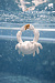 SHARON THE CRAB, игрушка для ванны