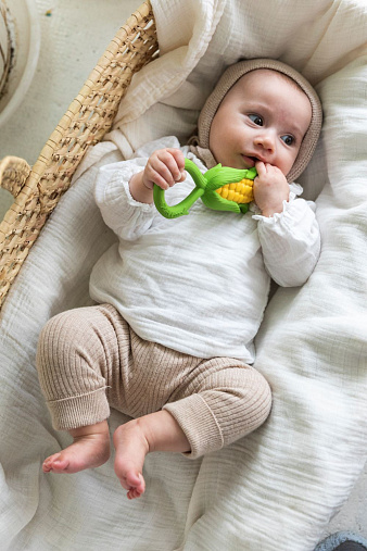 CORN RATTLE TOY, погремушка